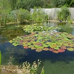 度假居 Quinta Do Arade - Casa 4 Petalas Barranco do Resgalho