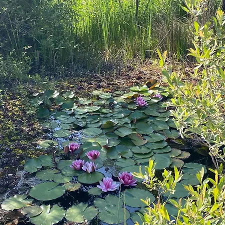 Quinta Do Arade - Casa 4 Petalas