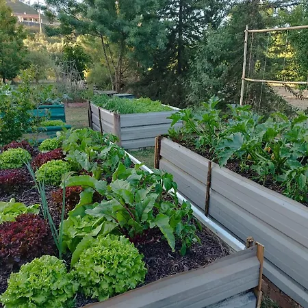 Сasa de vacaciones Quinta Do Arade - Casa 4 Pétalas Barranco do Resgalho