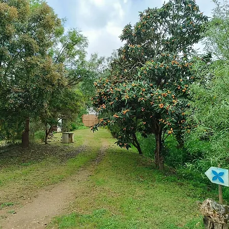 Quinta Do Arade - Casa 4 Pétalas *