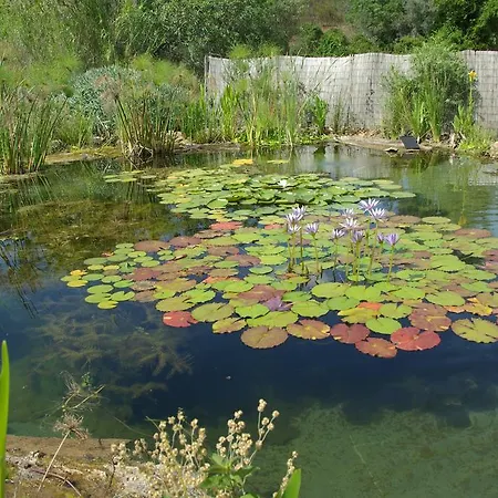 Сasa de vacaciones Quinta Do Arade - Casa 4 Pétalas Barranco do Resgalho