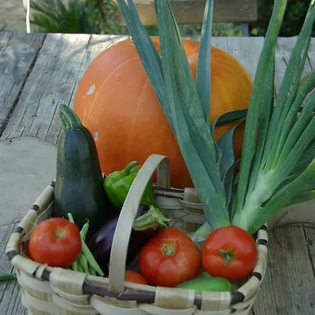 Quinta Do Arade - Casa 4 Pétalas Сasa de vacaciones